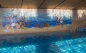 Image - Mosaic Swimming Pool 29 - view 2 - Mosaic studio D-Core